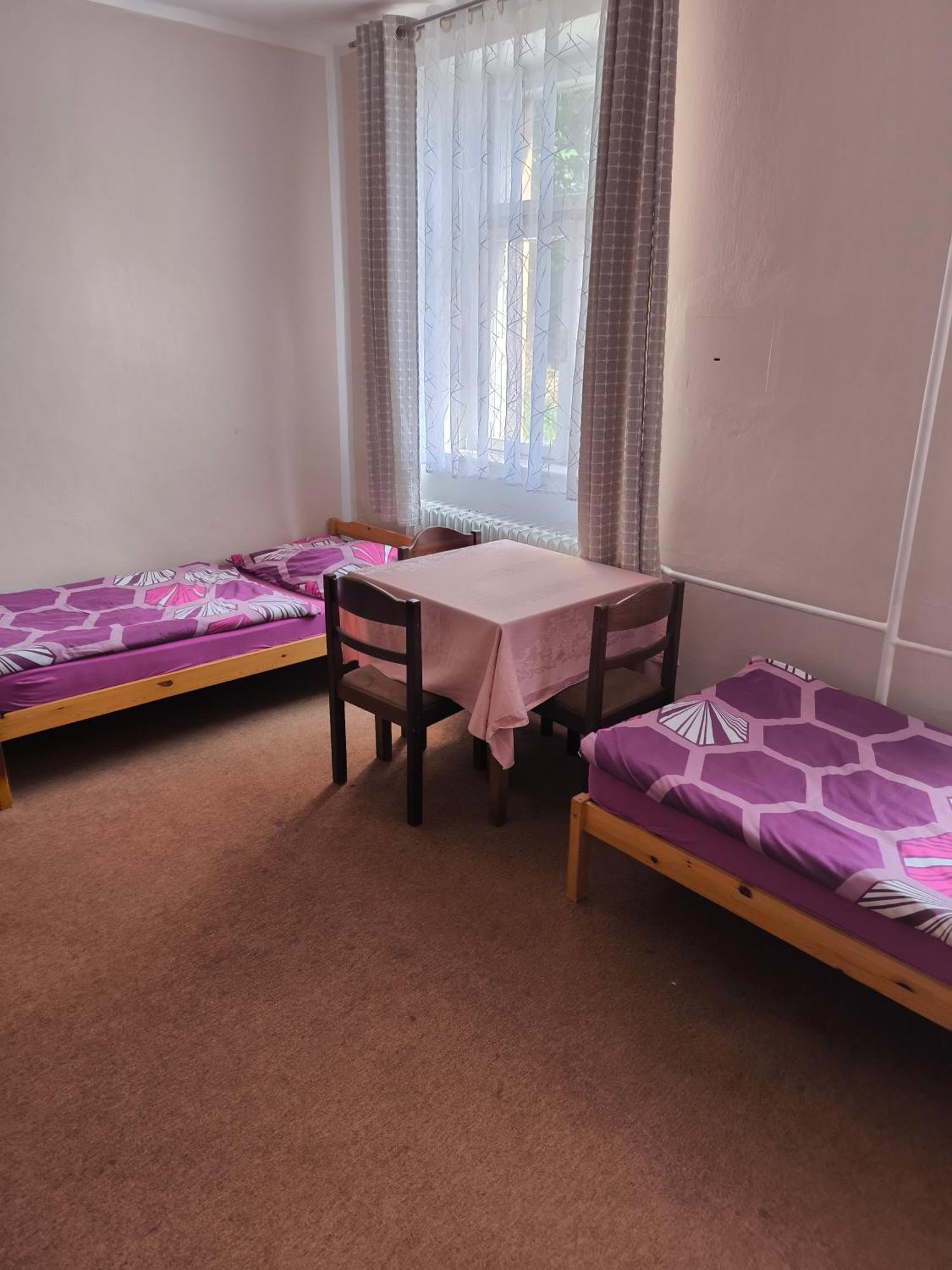 Penzion U Zeleneho Stromu Telnice Room photo